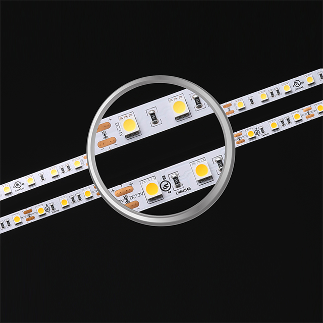 SMD5050 60LEDs 14.4W Tira de luz LED blanca regulable
