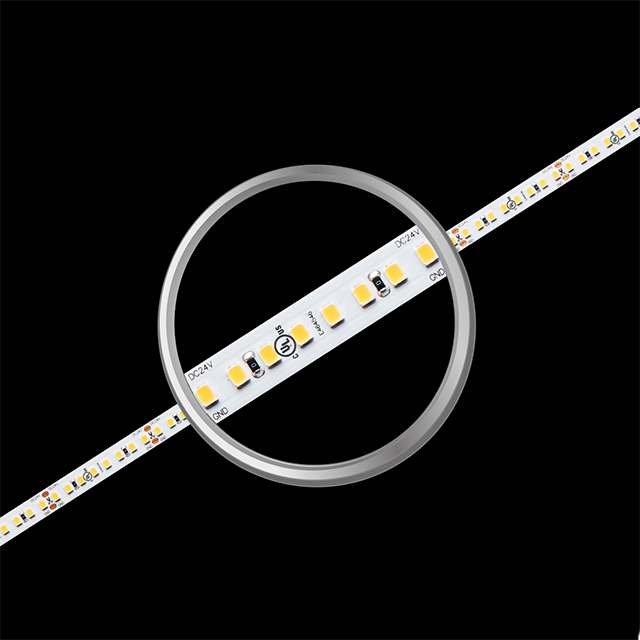 Tira de luz LED de alta eficiencia SMD2835 160LEDs 19.2W